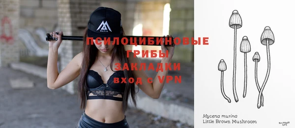 spice Армянск