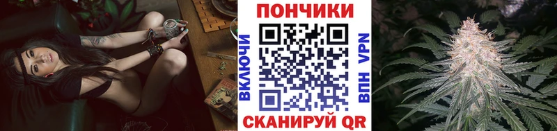 где найти   Спас-Клепики  Конопля White Widow 